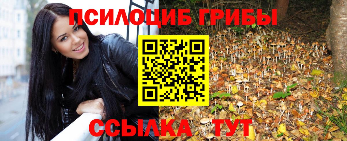 Галлюциногенные грибы Psilocybe  Вход с VPN  Менделеевск 