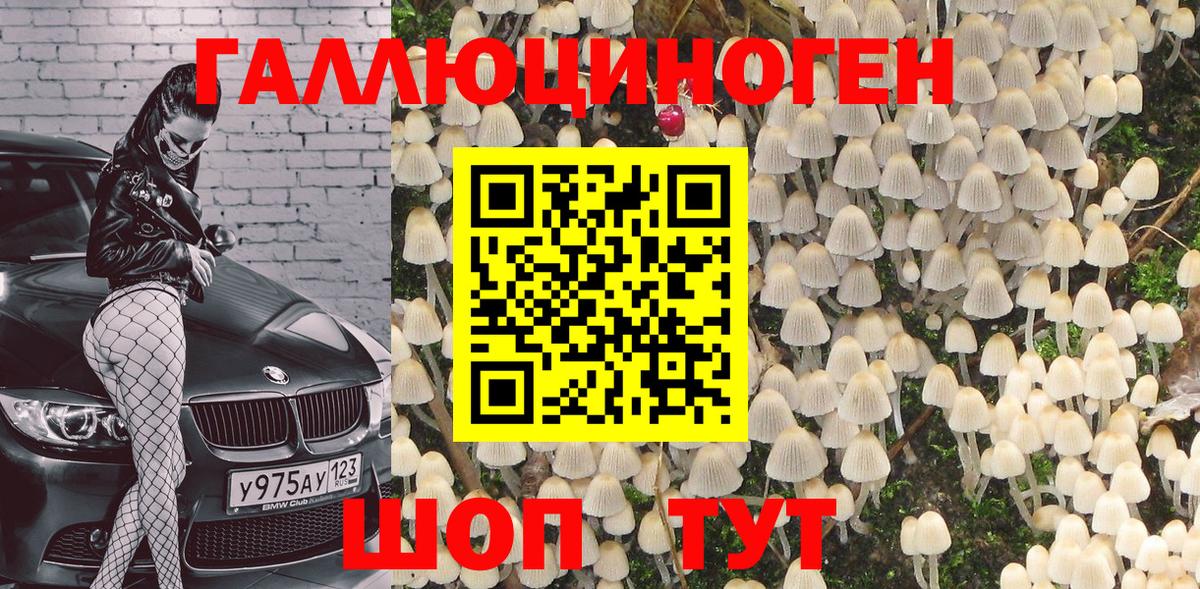 Галлюциногенные грибы мицелий Менделеевск